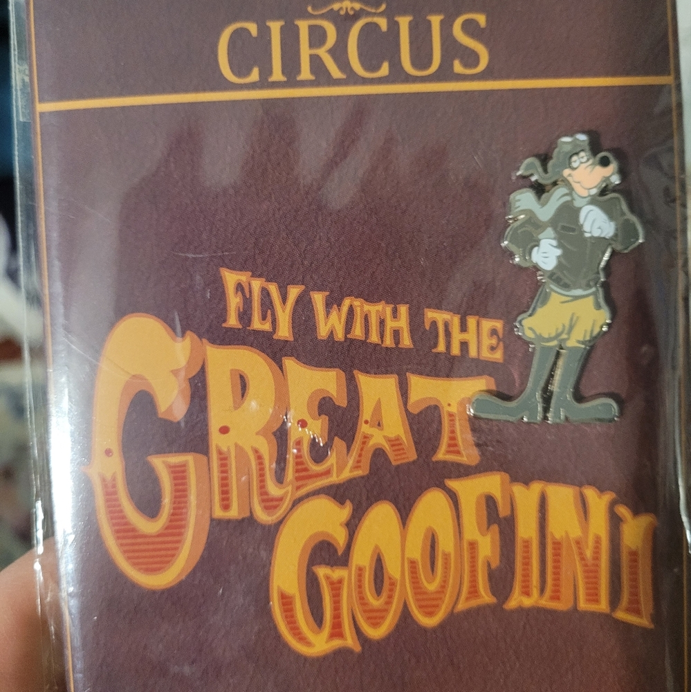 Disney pin
